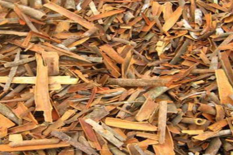 Broken Cinnamon (Cassia)